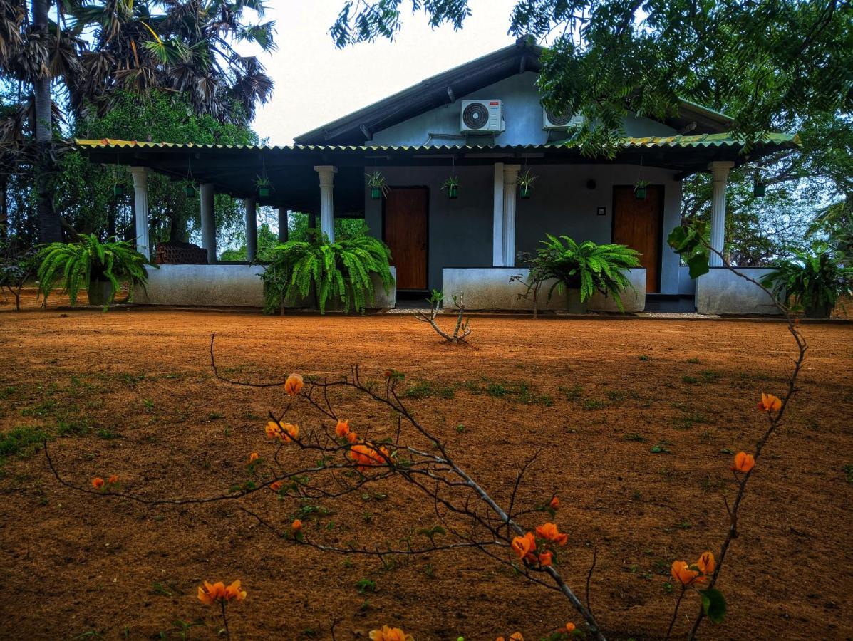 Beach Bungalow Yala Kirinda  Εξωτερικό φωτογραφία