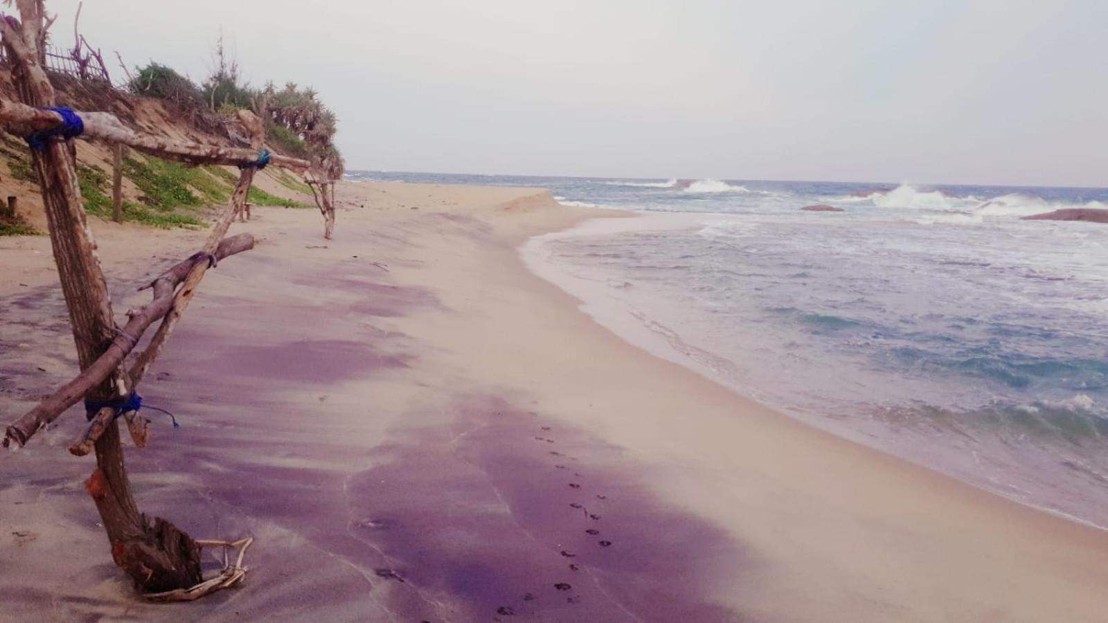 Beach Bungalow Yala Kirinda  Εξωτερικό φωτογραφία